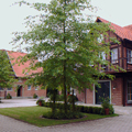 Dorothea Faust  Innen  Architektur  Dsseldorf